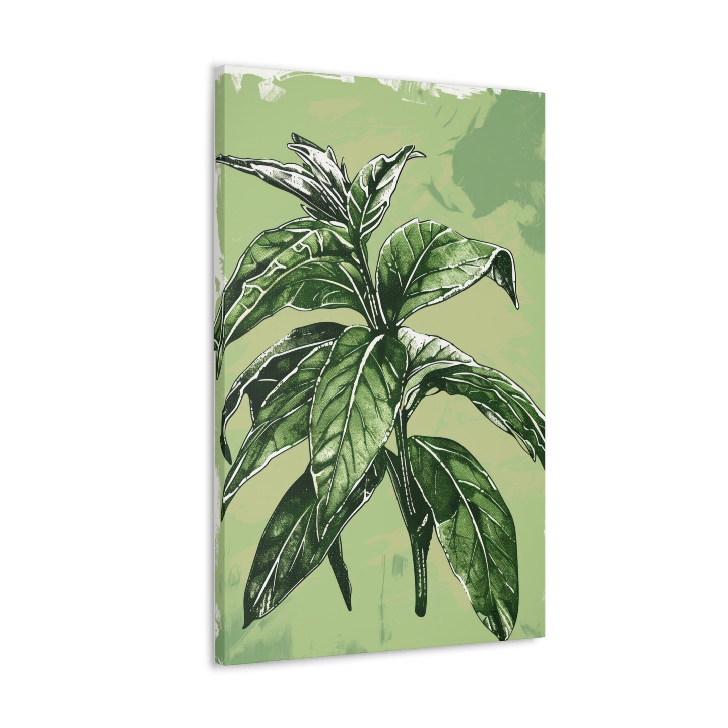 Plant Leaves Digital Illustration Canvas Gallery Wraps