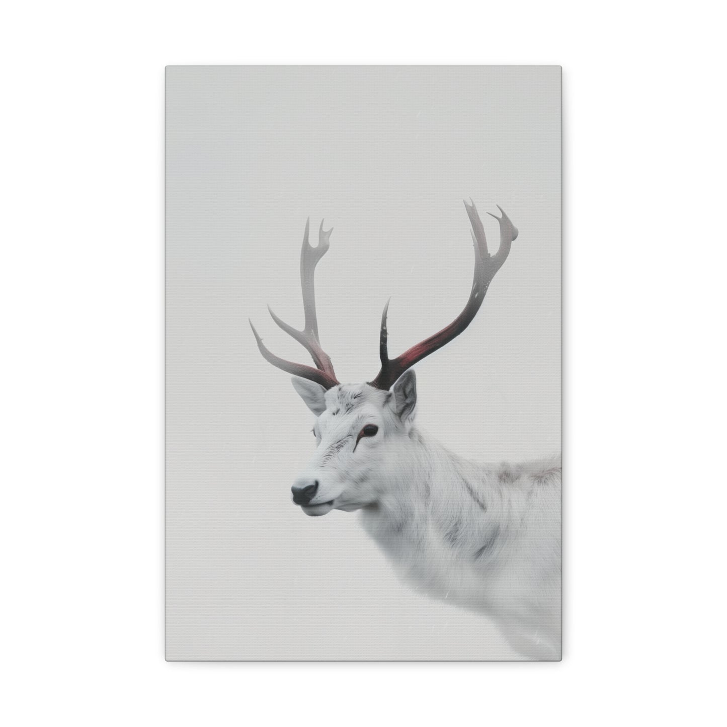 White Reindeer Digital Illustration Canvas Gallery Wraps