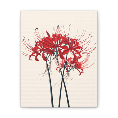 Red Spider Lily Flower Digital Illustration Canvas Gallery Wraps