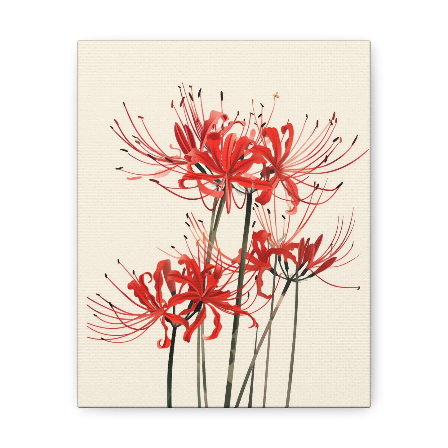 Red Spider Lily Flower Digital Illustration Canvas Gallery Wraps