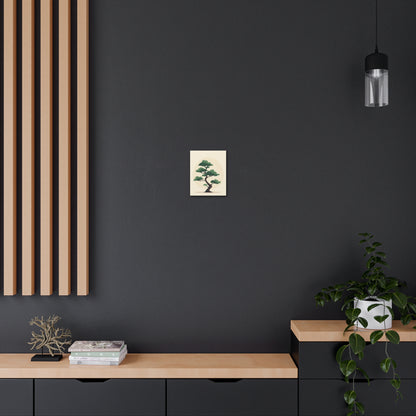 Bonsai Tree - Illustration Canvas Gallery Wraps