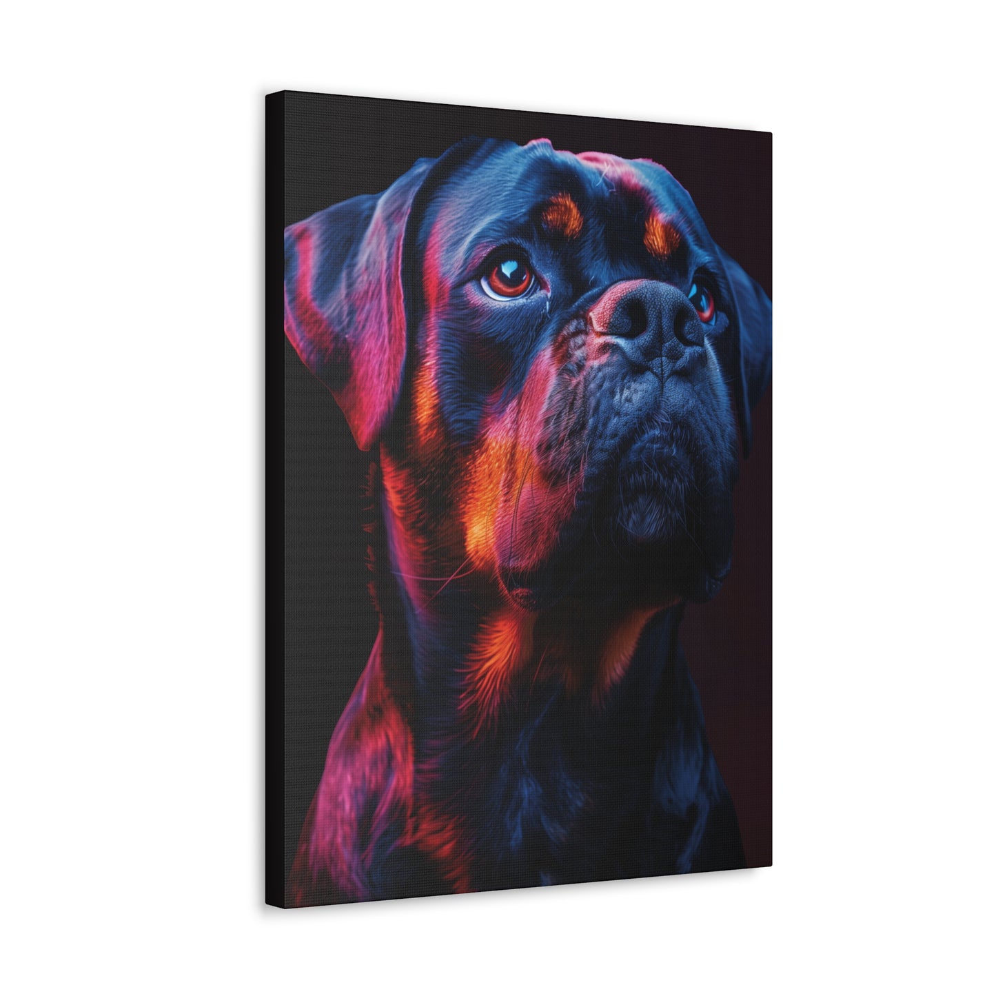 Rottweiler Dog - Abstract Illustration Canvas Gallery Wraps