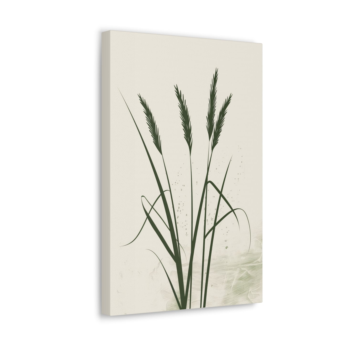 Grass Plant - Illustration Canvas Gallery Wraps