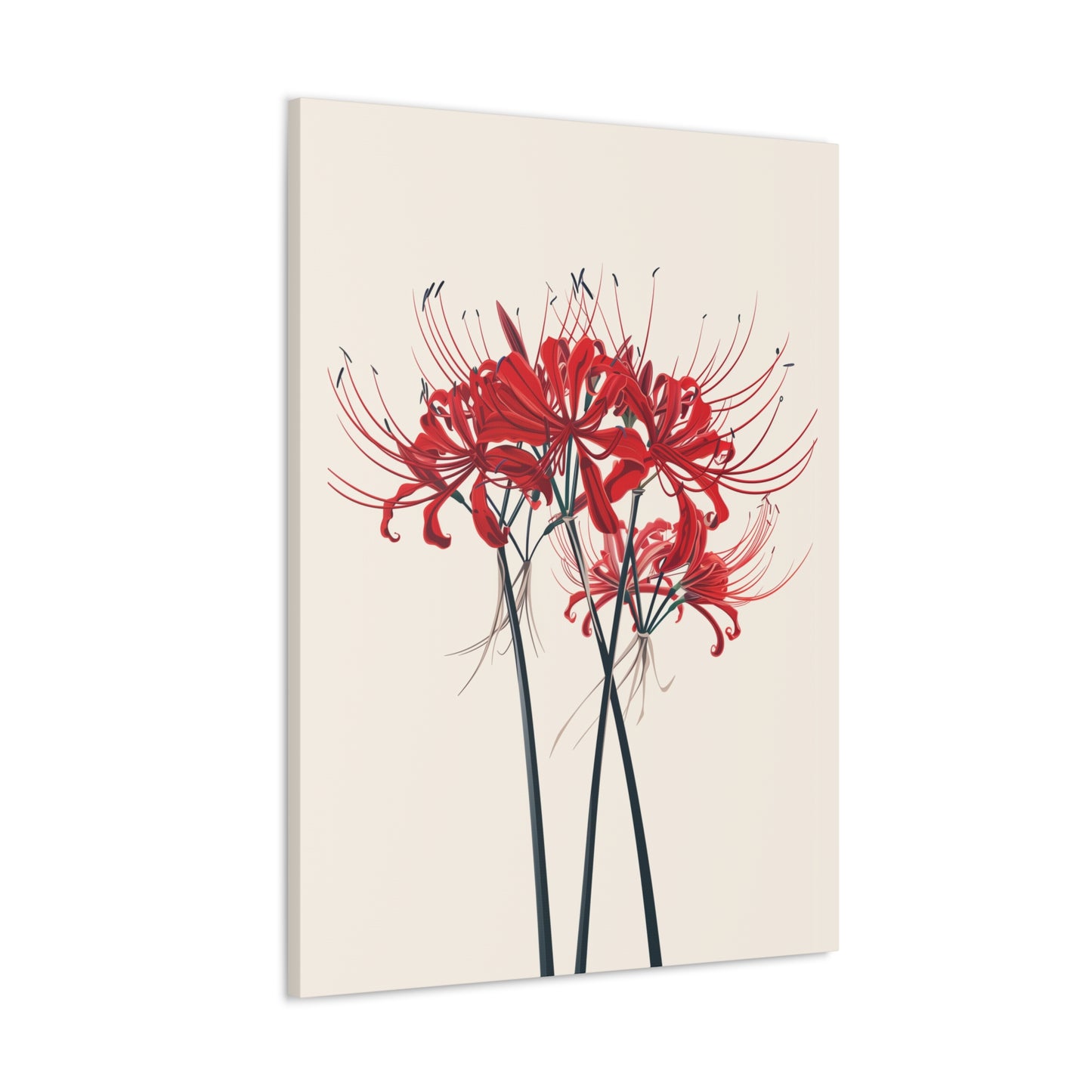 Red Spider Lily Flower Digital Illustration Canvas Gallery Wraps