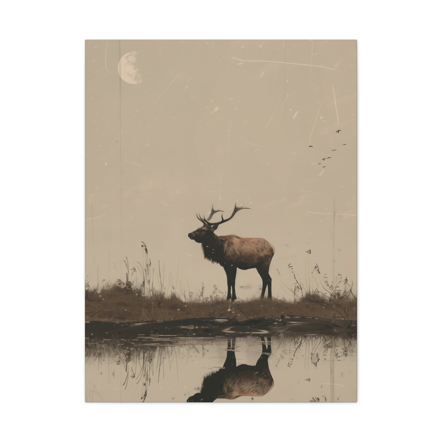 Moose Digital Illustration Canvas Gallery Wraps