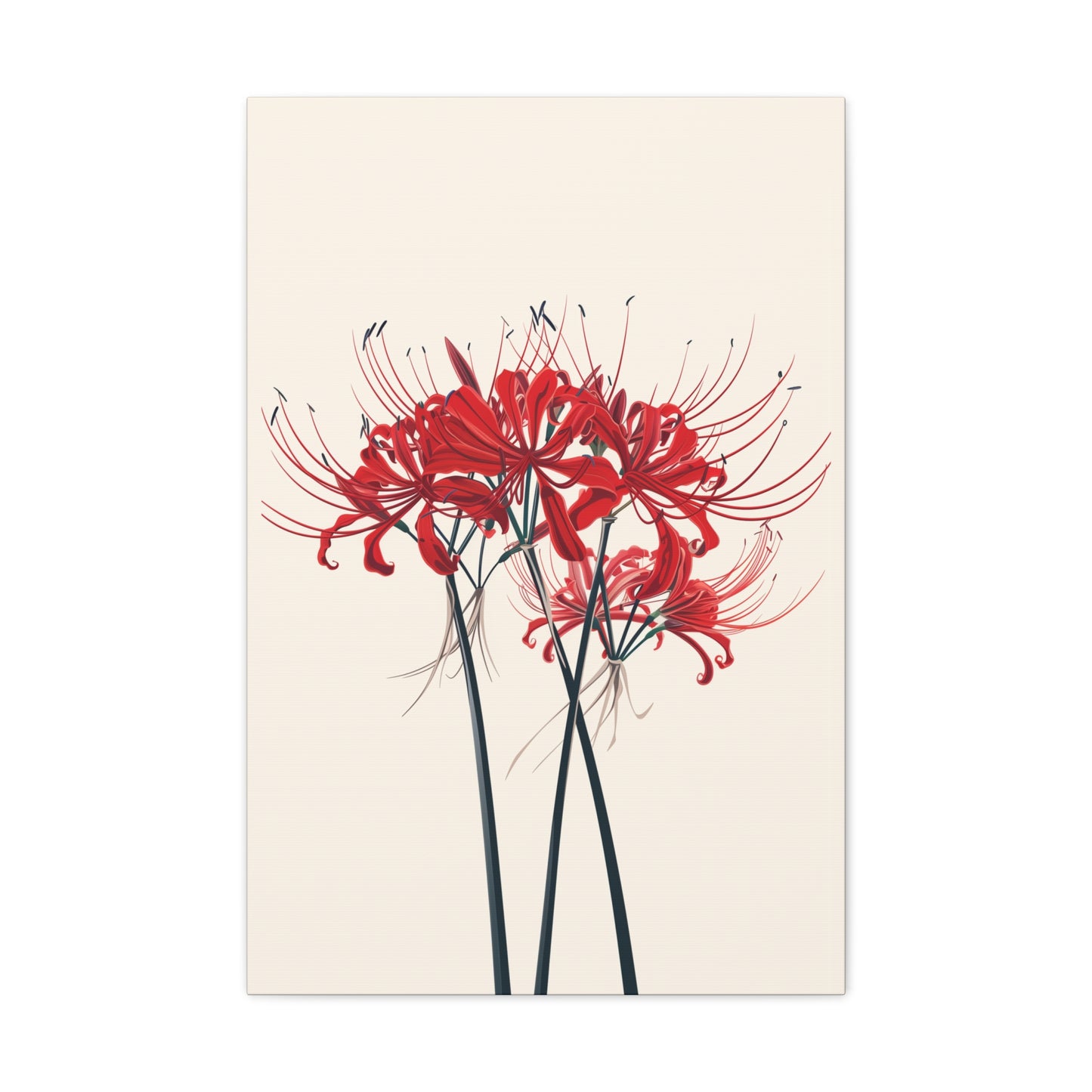 Red Spider Lily Flower Digital Illustration Canvas Gallery Wraps