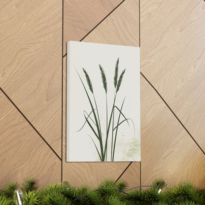 Grass Plant - Illustration Canvas Gallery Wraps