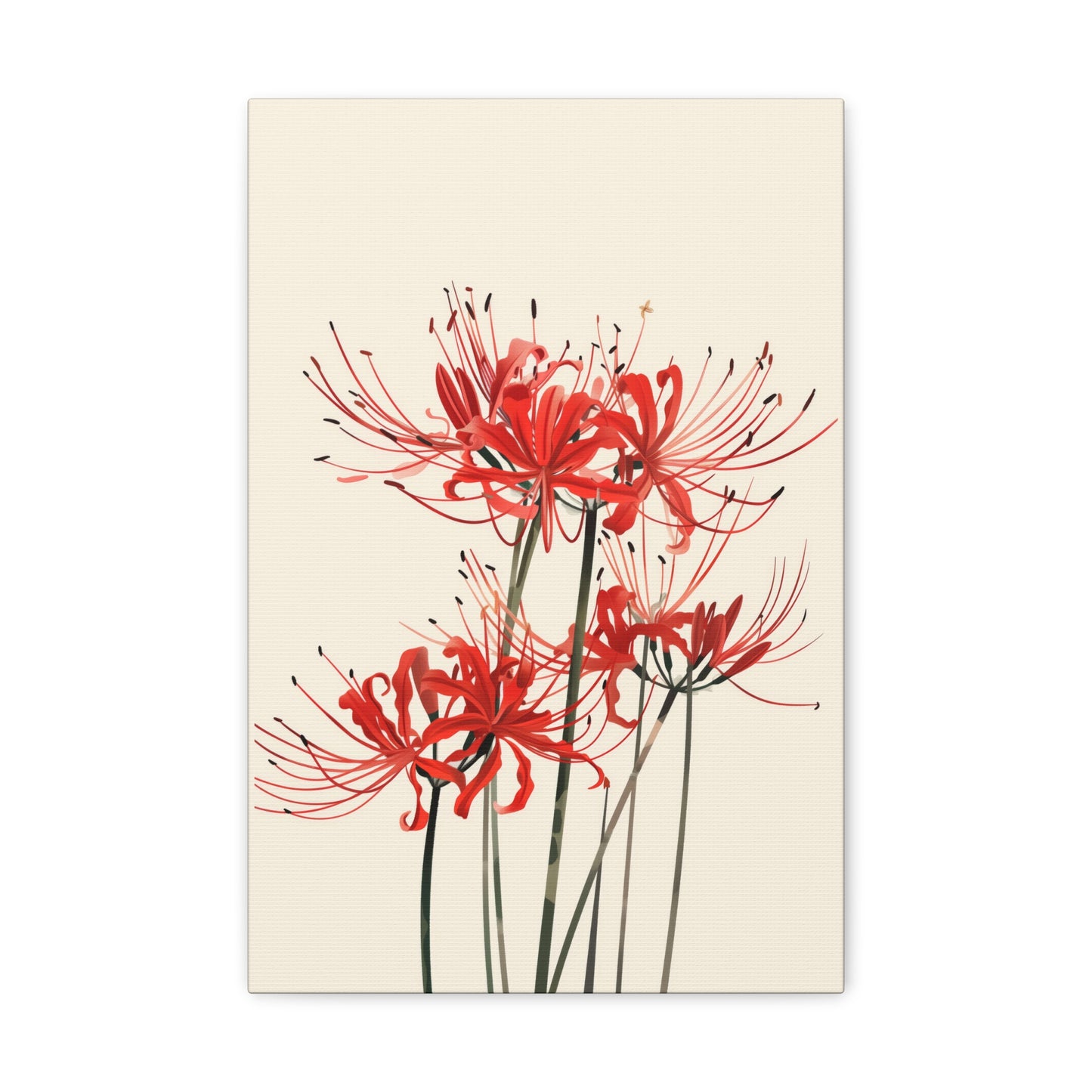 Red Spider Lily Flower Digital Illustration Canvas Gallery Wraps