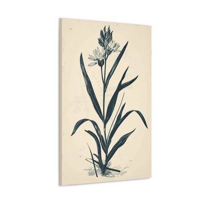 Grass Flower Digital Illustration Canvas Gallery Wraps