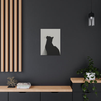 Black Cat Looking Up Digital Illustration Canvas Gallery Wraps