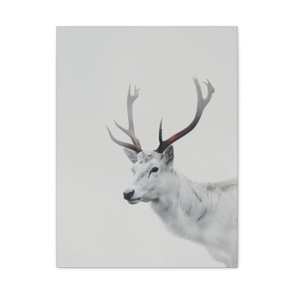 White Reindeer Digital Illustration Canvas Gallery Wraps