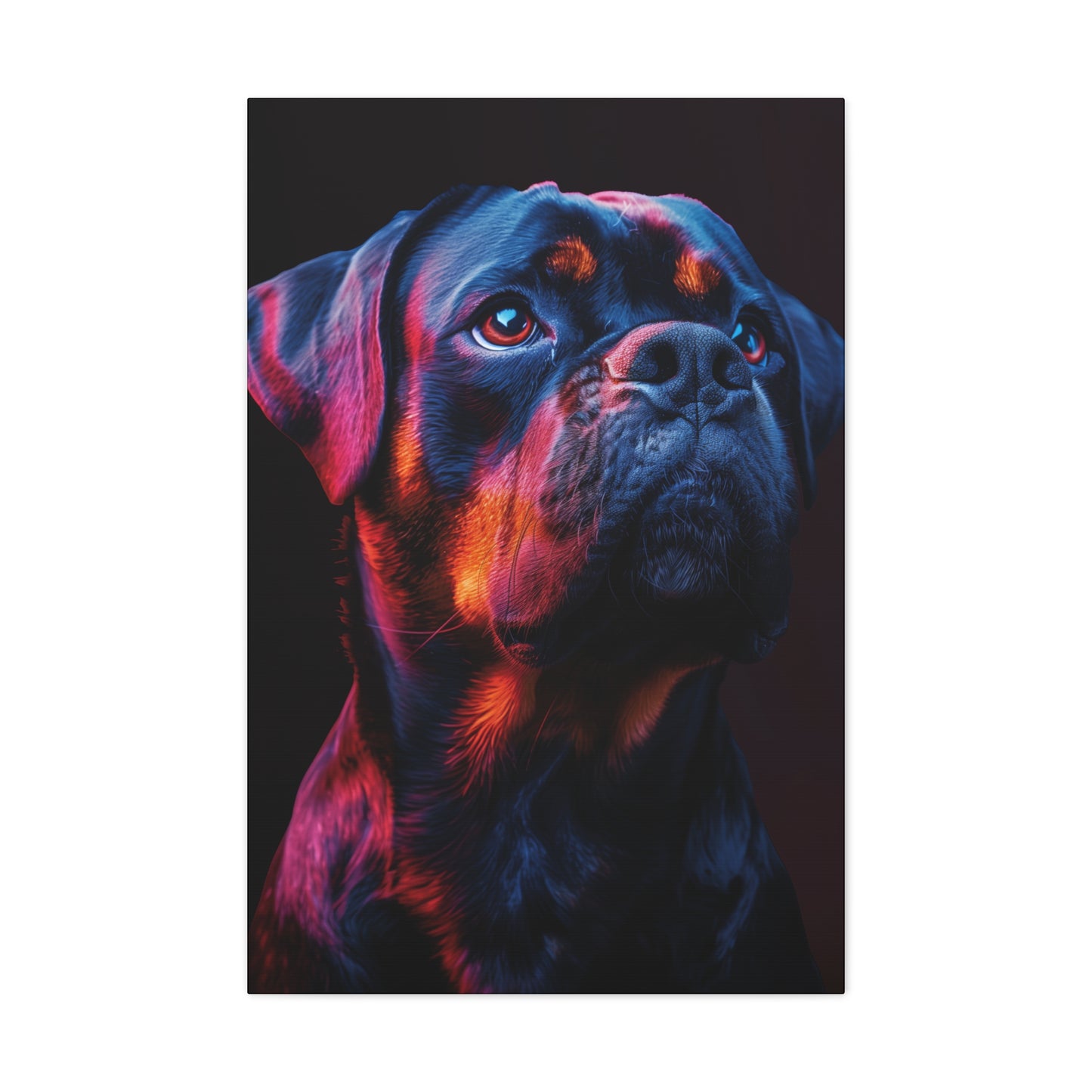 Rottweiler Dog - Abstract Illustration Canvas Gallery Wraps