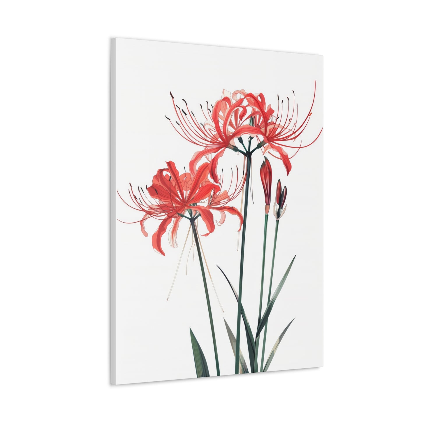 Red Spider Lily Flower Digital Illustration Canvas Gallery Wraps