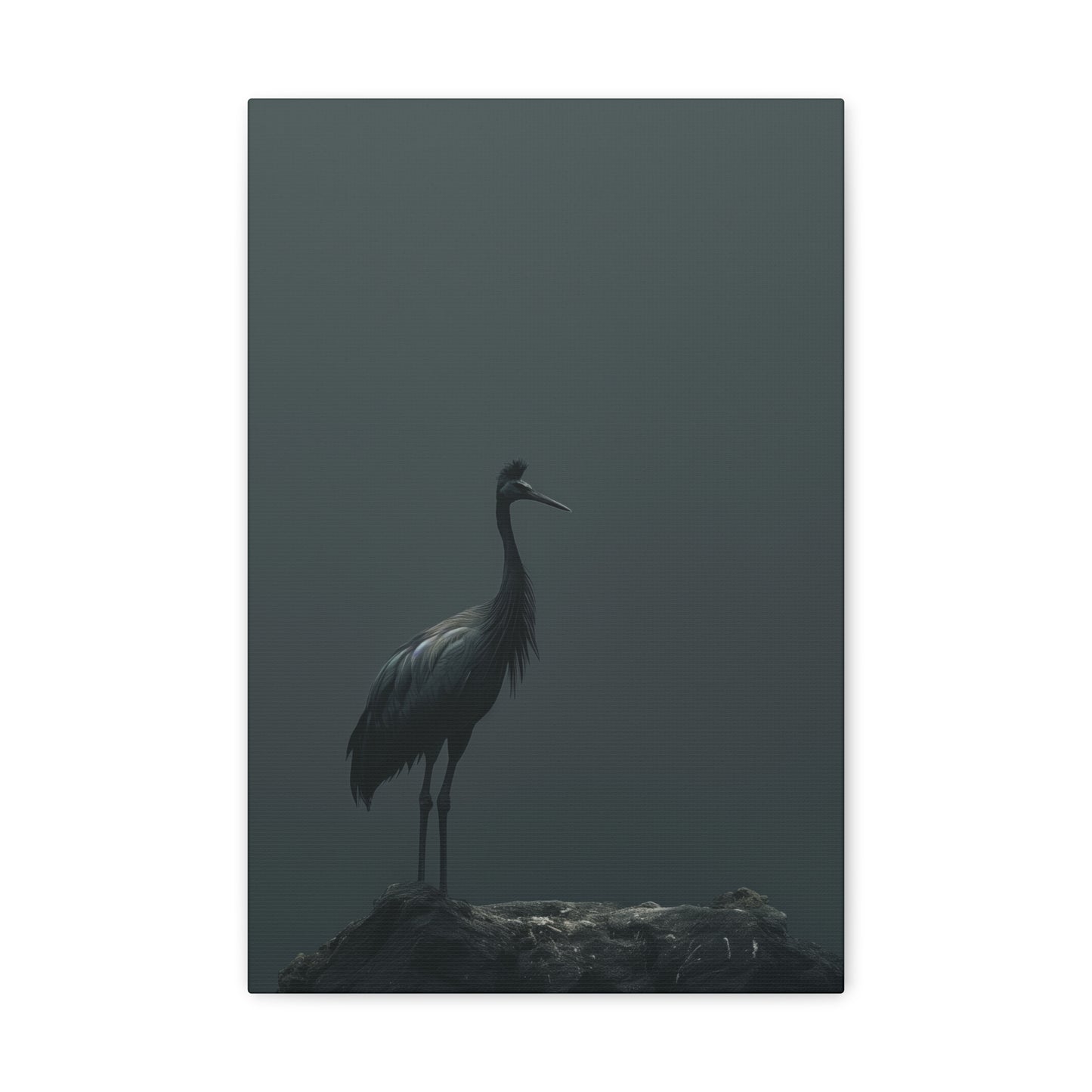 Egret Digital Illustration Canvas Gallery Wraps