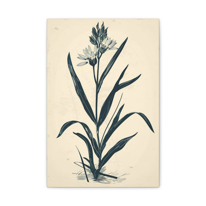 Grass Flower Digital Illustration Canvas Gallery Wraps