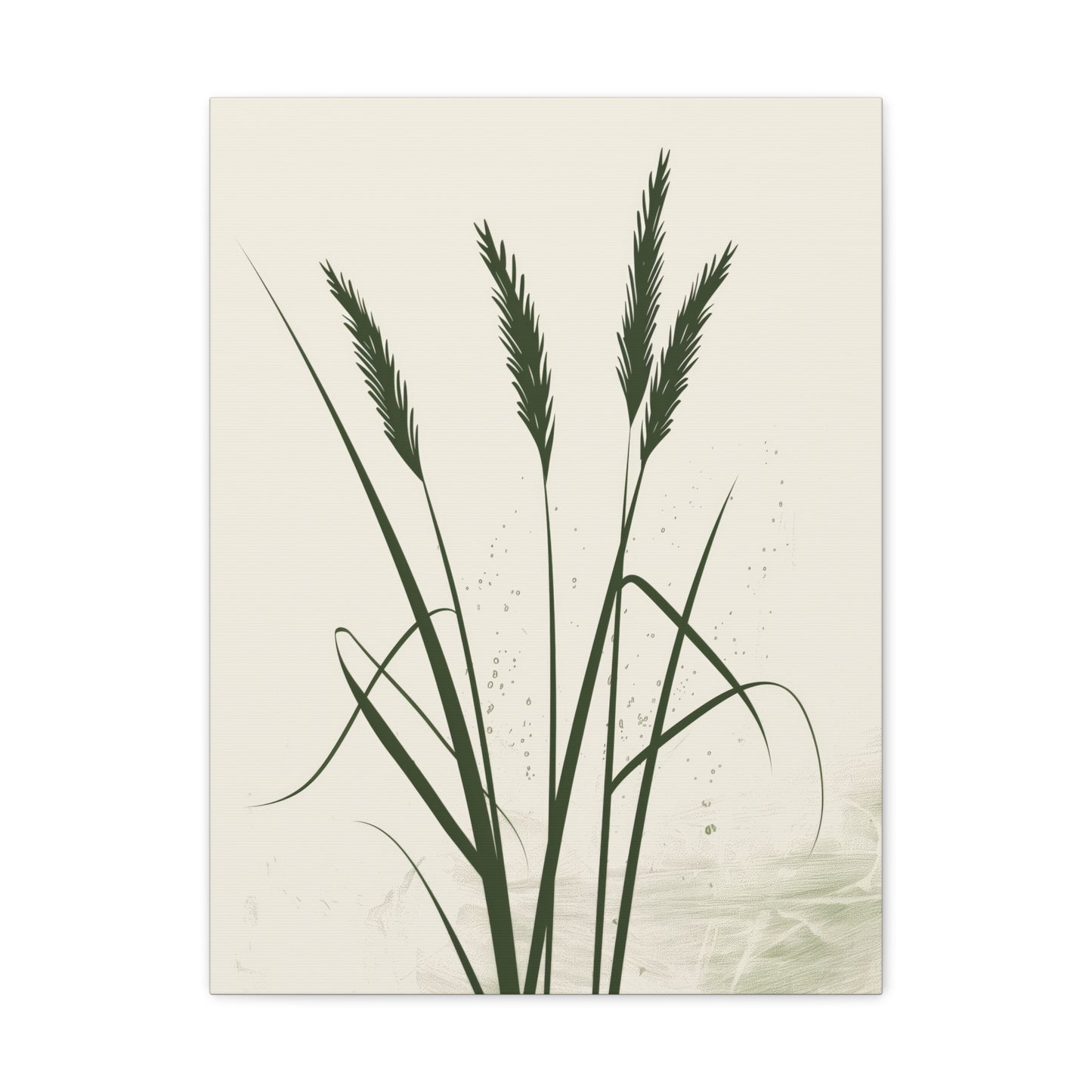 Grass Plant - Illustration Canvas Gallery Wraps