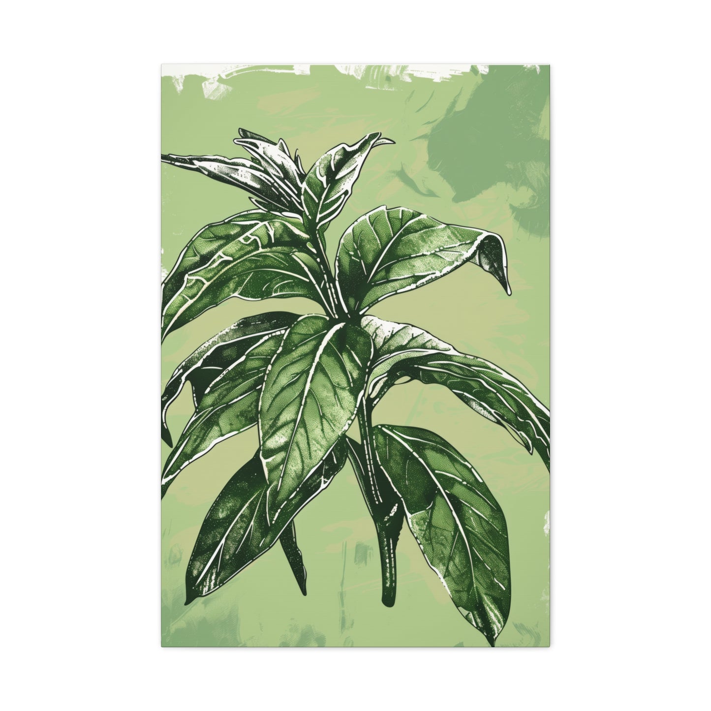 Plant Leaves Digital Illustration Canvas Gallery Wraps