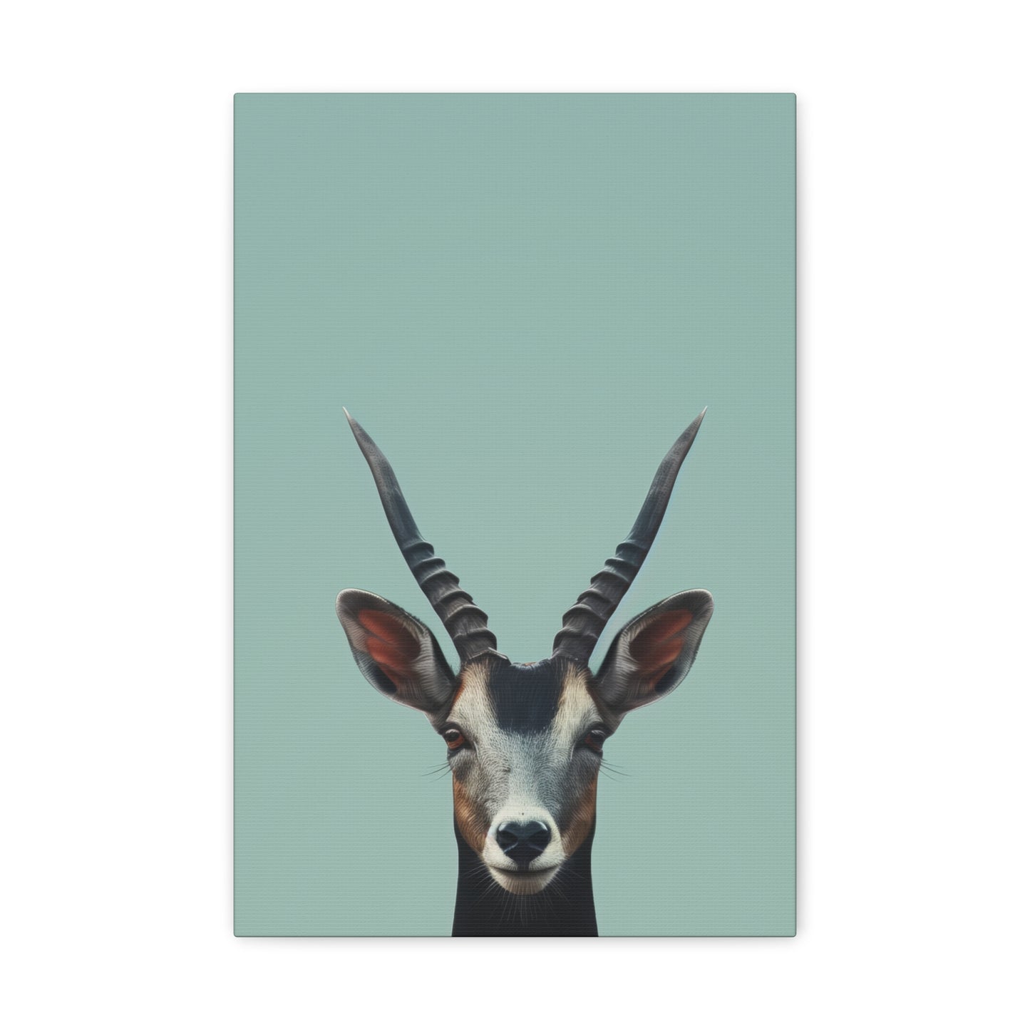 Antelope with Antlers Digital Illustration Canvas Gallery Wraps