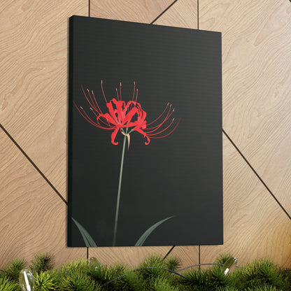 Red Spider Lily Flower Digital Illustration Canvas Gallery Wraps