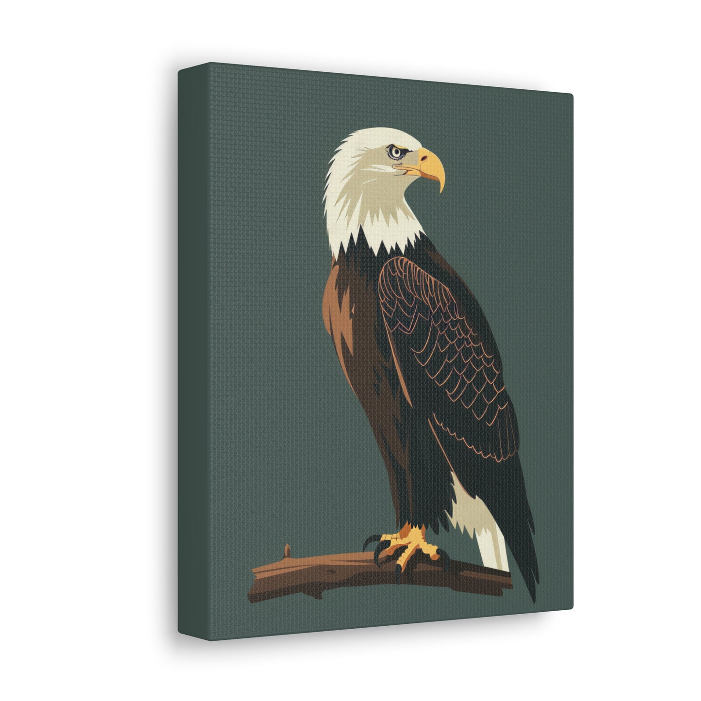 Eagle Digital Illustration Canvas Gallery Wraps