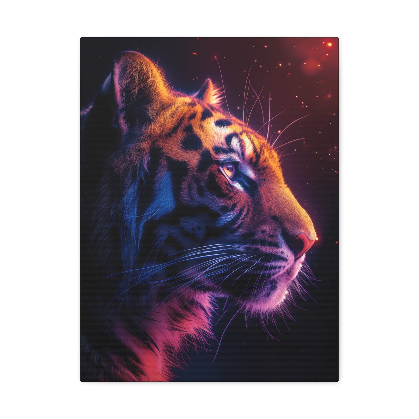 Tiger - Illustration Canvas Gallery Wraps