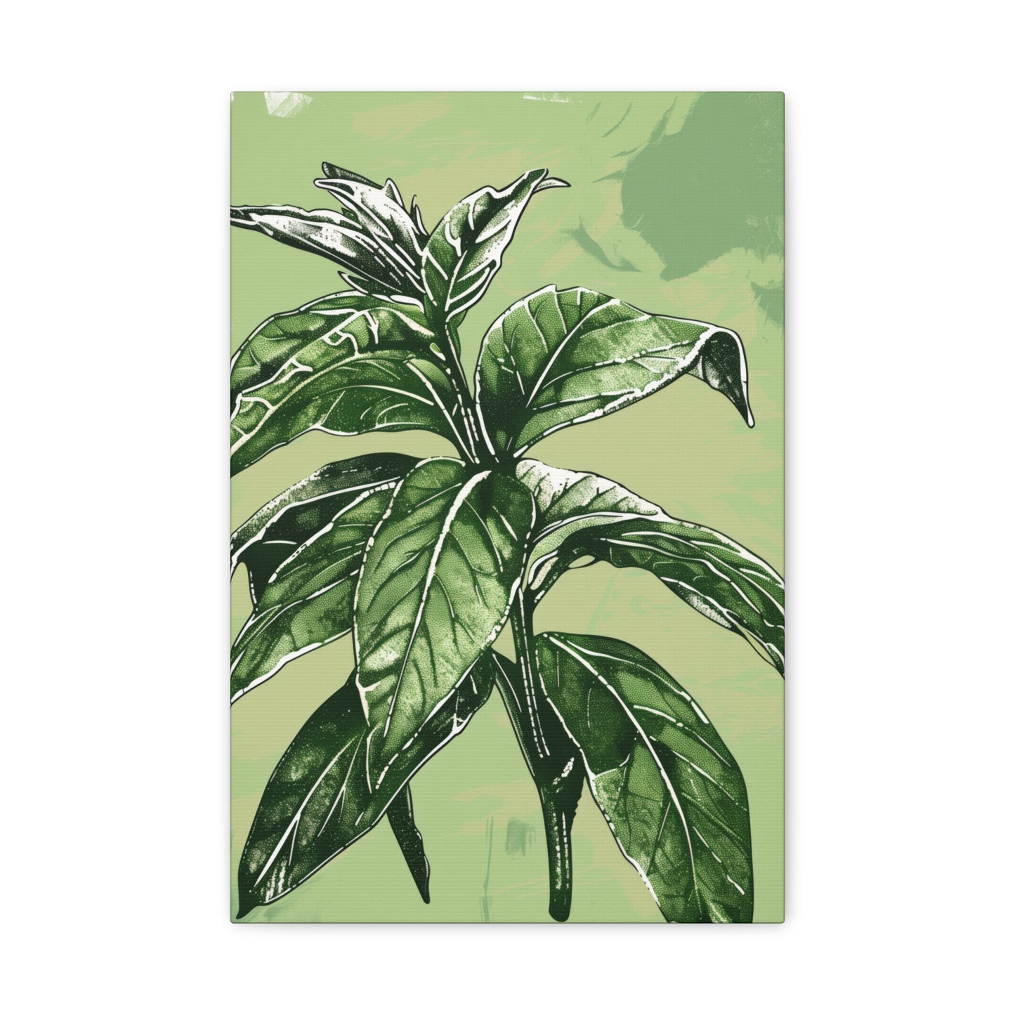 Plant Leaves Digital Illustration Canvas Gallery Wraps