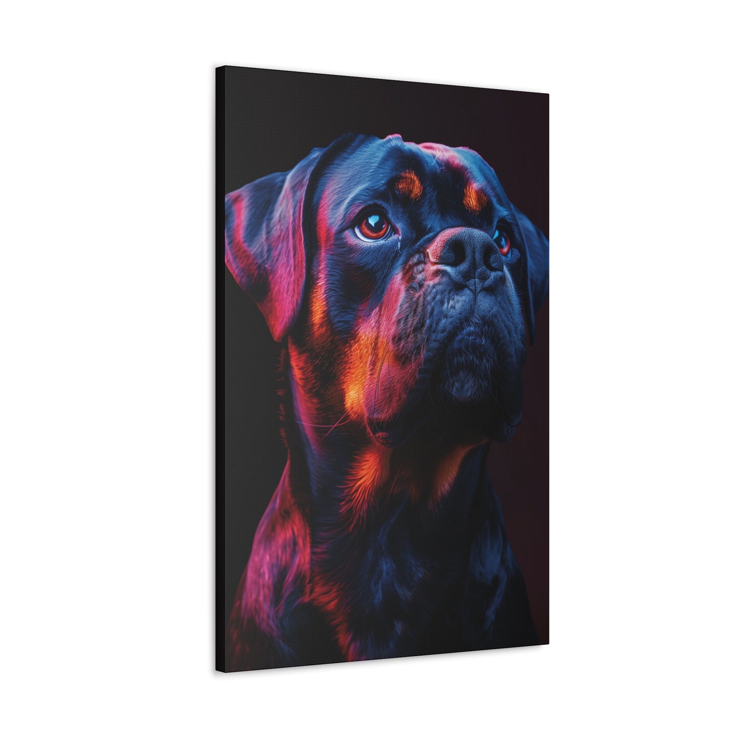 Rottweiler Dog - Abstract Illustration Canvas Gallery Wraps