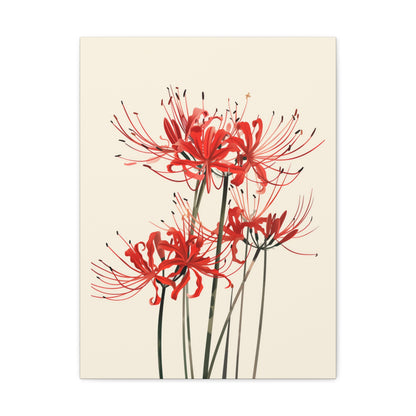 Red Spider Lily Flower Digital Illustration Canvas Gallery Wraps