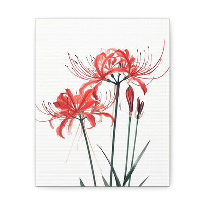 Red Spider Lily Flower Digital Illustration Canvas Gallery Wraps