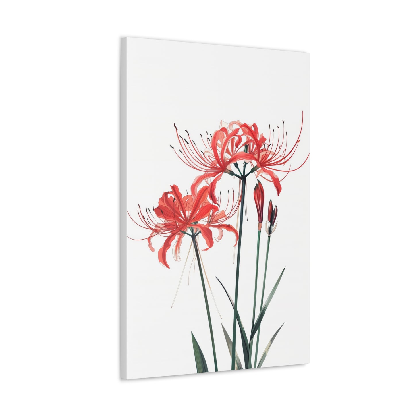 Red Spider Lily Flower Digital Illustration Canvas Gallery Wraps