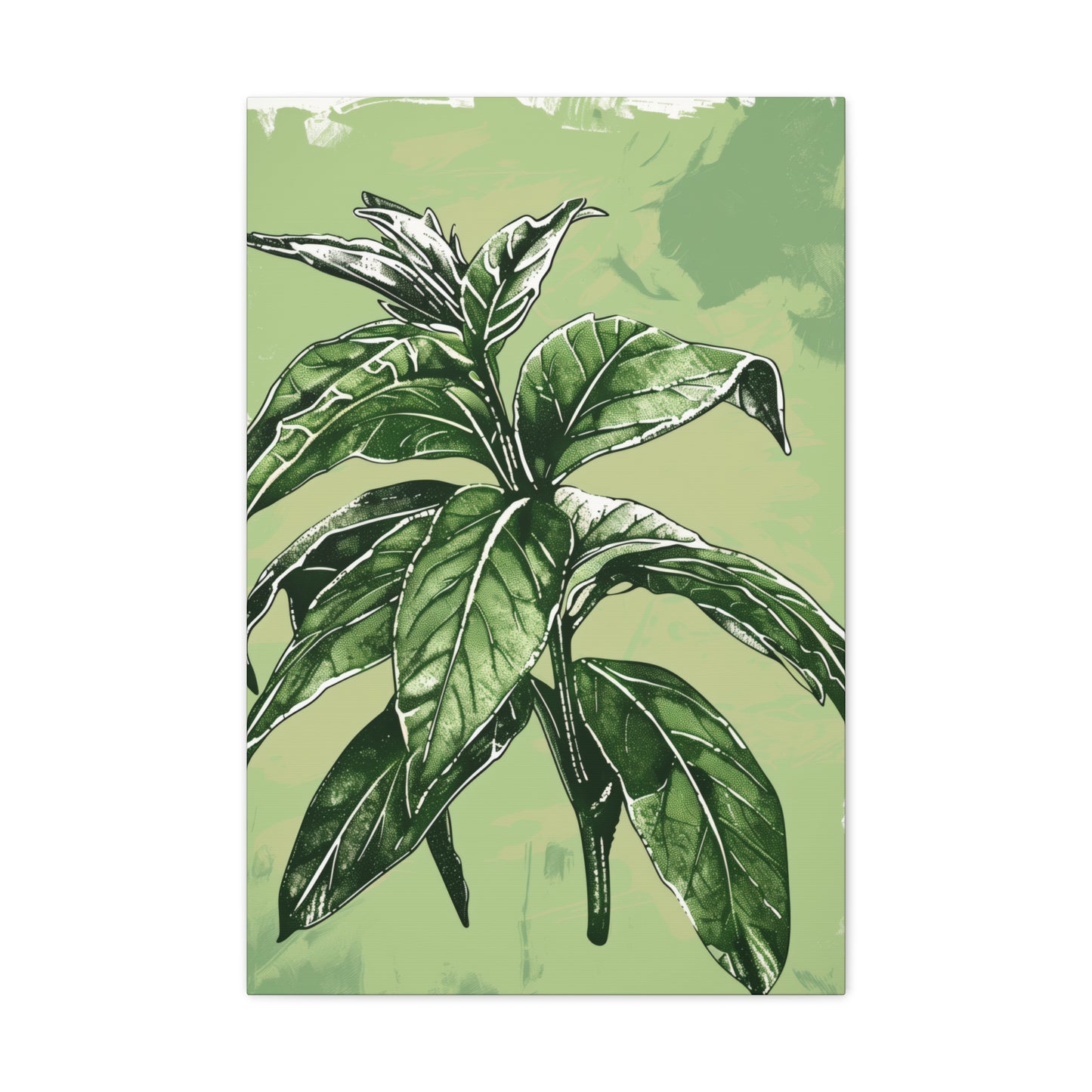 Plant Leaves Digital Illustration Canvas Gallery Wraps