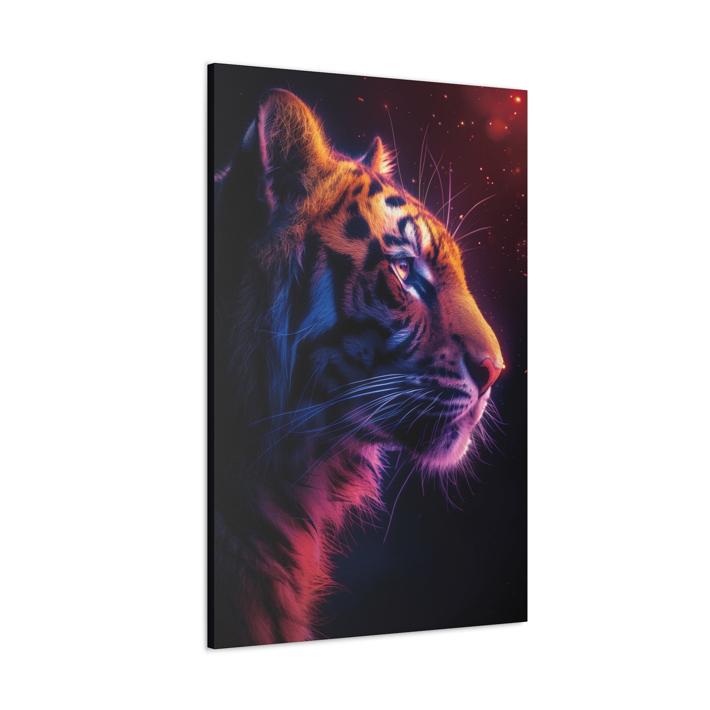 Tiger - Illustration Canvas Gallery Wraps