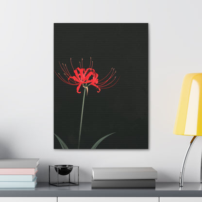 Red Spider Lily Flower Digital Illustration Canvas Gallery Wraps