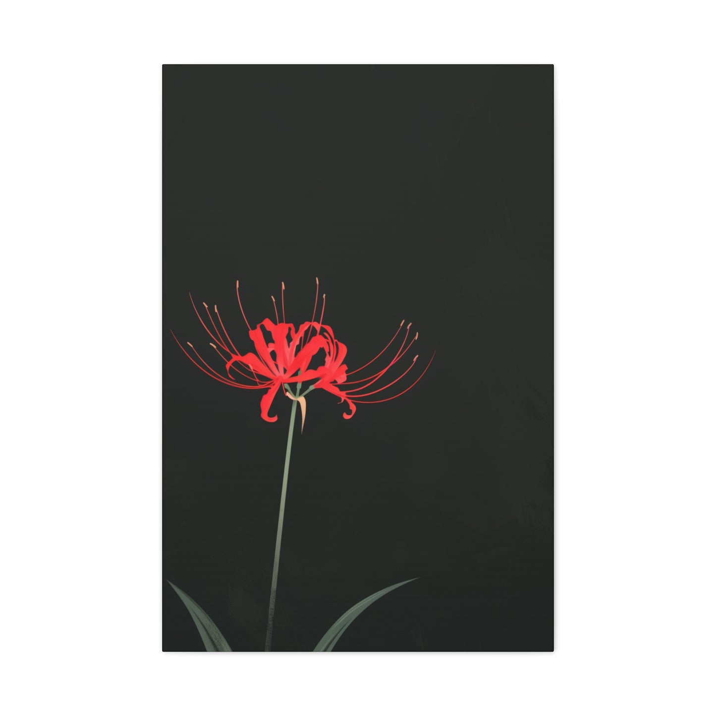 Red Spider Lily Flower Digital Illustration Canvas Gallery Wraps