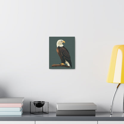 Eagle Digital Illustration Canvas Gallery Wraps