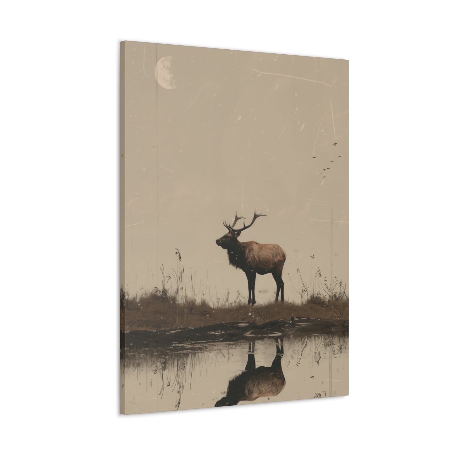 Moose Digital Illustration Canvas Gallery Wraps