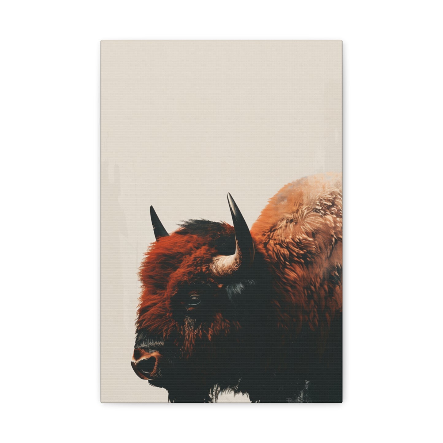 Bison - Illustration Canvas Gallery Wraps