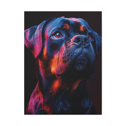 Rottweiler Dog - Abstract Illustration Canvas Gallery Wraps