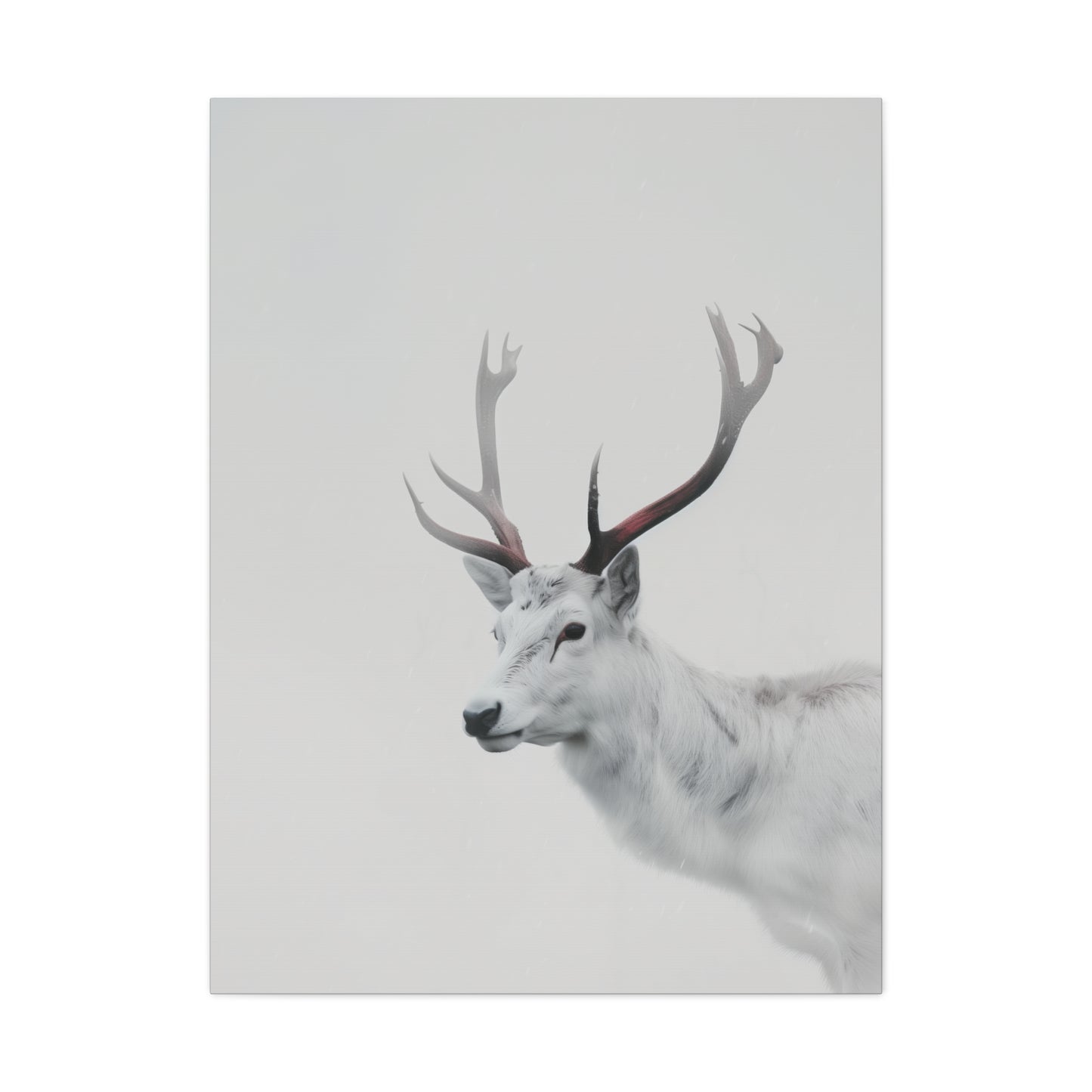 White Reindeer Digital Illustration Canvas Gallery Wraps