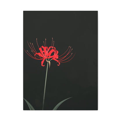 Red Spider Lily Flower Digital Illustration Canvas Gallery Wraps