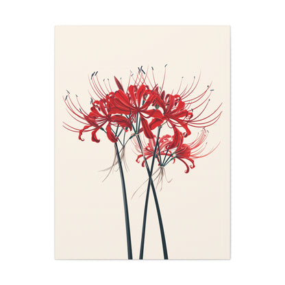 Red Spider Lily Flower Digital Illustration Canvas Gallery Wraps