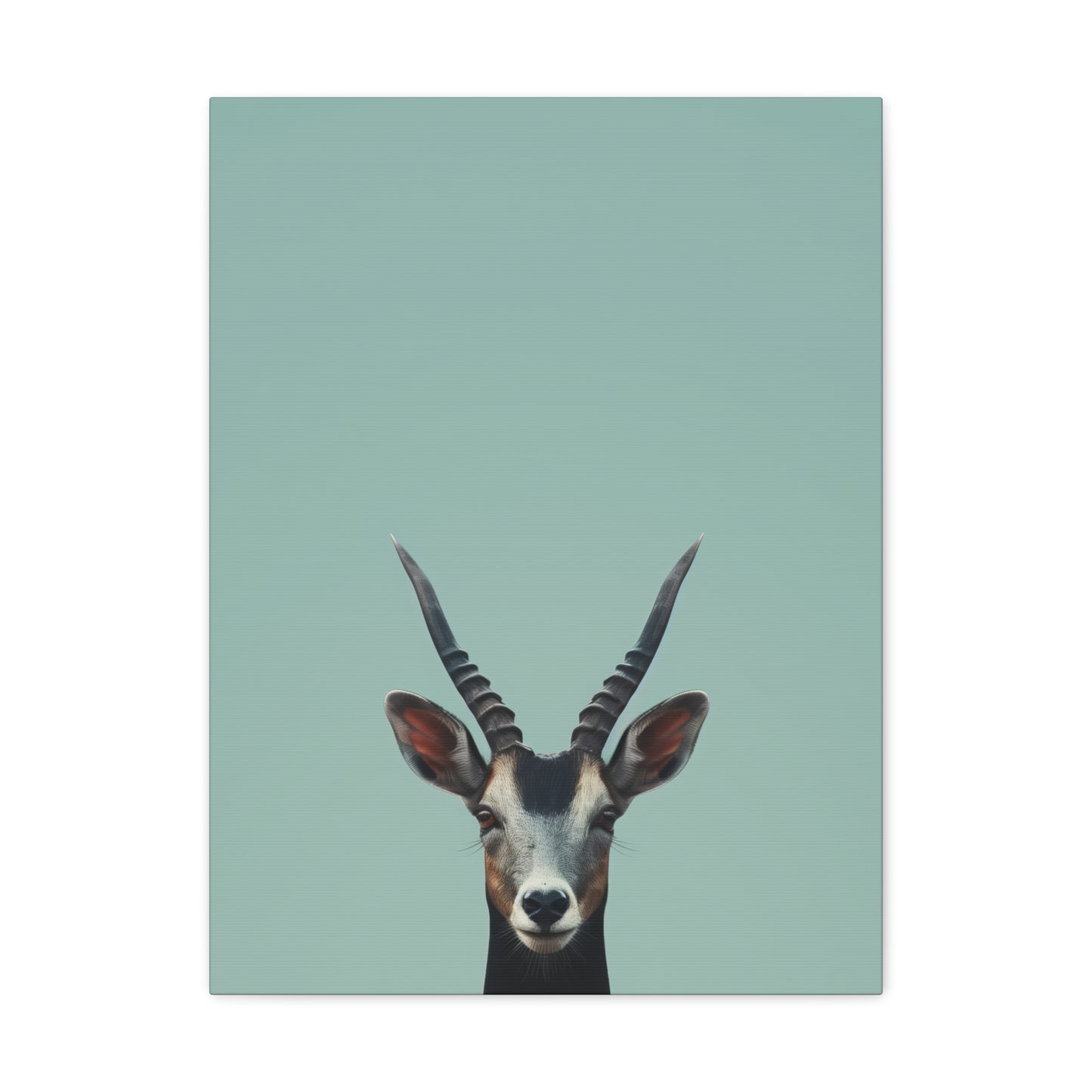 Antelope with Antlers Digital Illustration Canvas Gallery Wraps