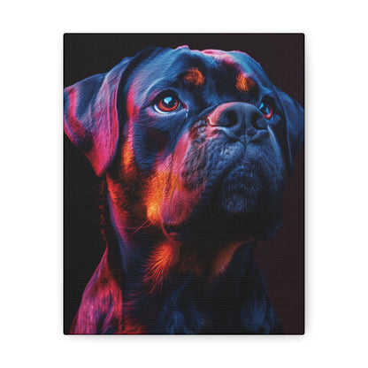 Rottweiler Dog - Abstract Illustration Canvas Gallery Wraps