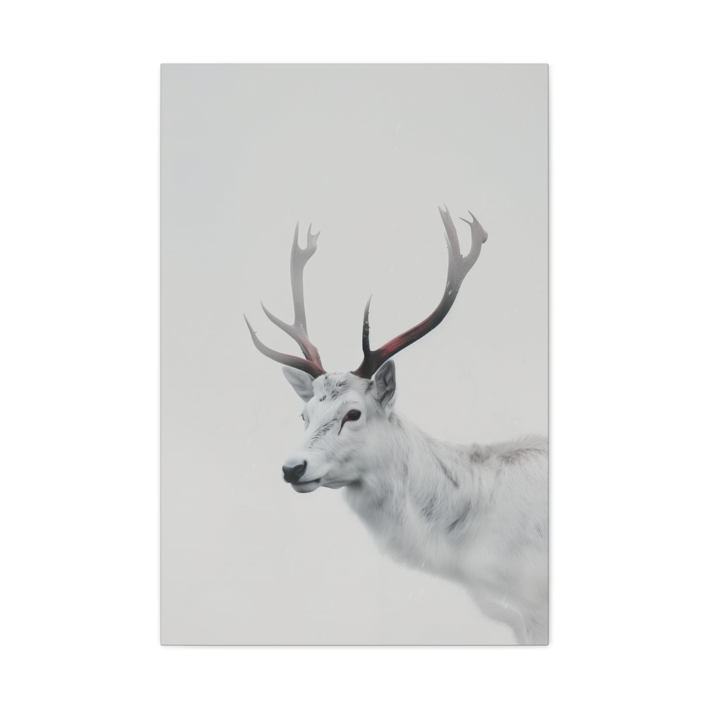 White Reindeer Digital Illustration Canvas Gallery Wraps