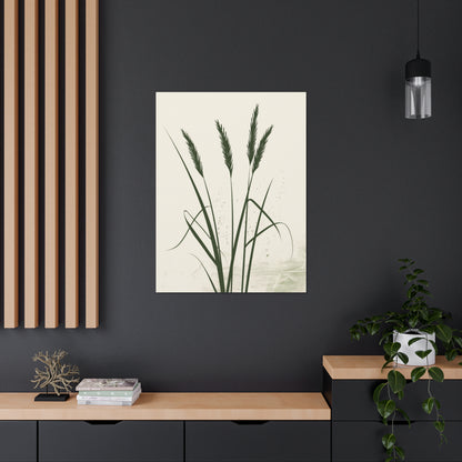 Grass Plant - Illustration Canvas Gallery Wraps