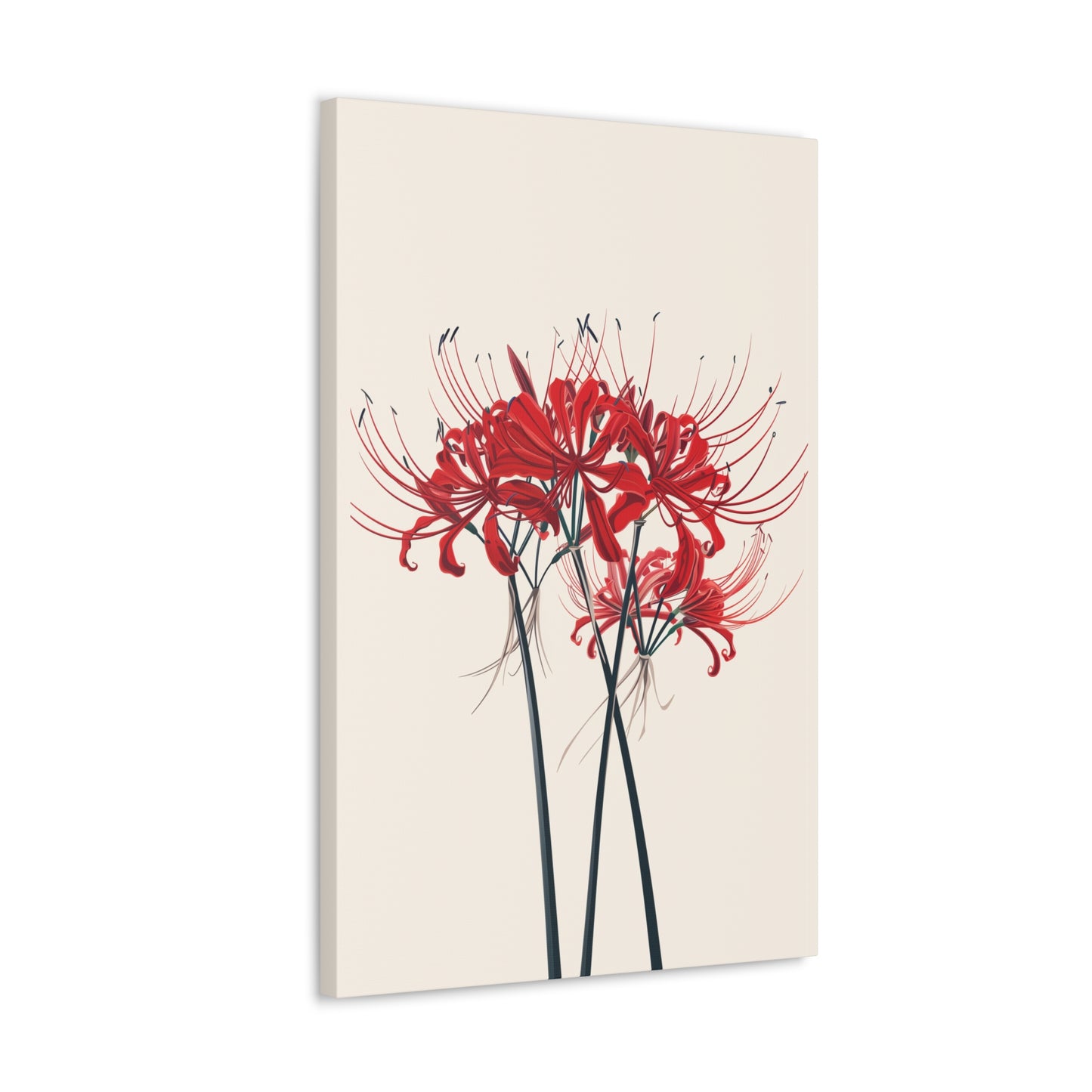 Red Spider Lily Flower Digital Illustration Canvas Gallery Wraps