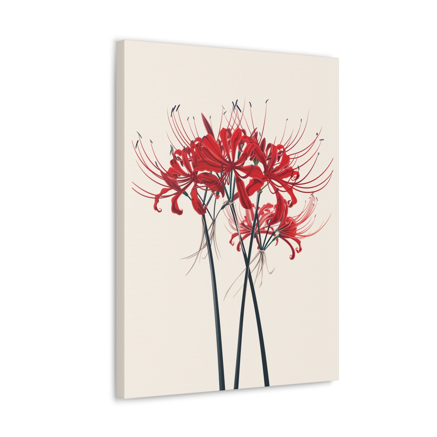 Red Spider Lily Flower Digital Illustration Canvas Gallery Wraps