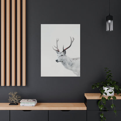 White Reindeer Digital Illustration Canvas Gallery Wraps