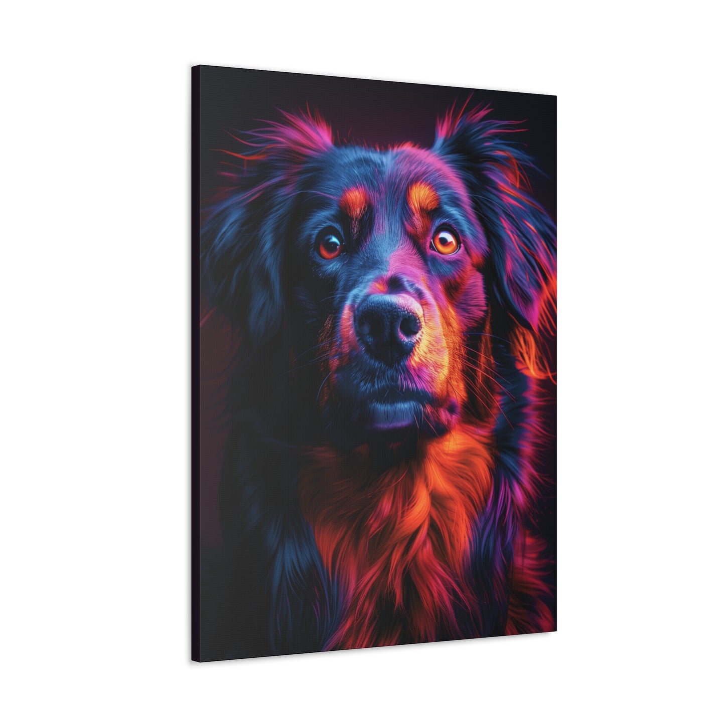 Labrador Dog - Abstract Illustration Canvas Gallery Wraps