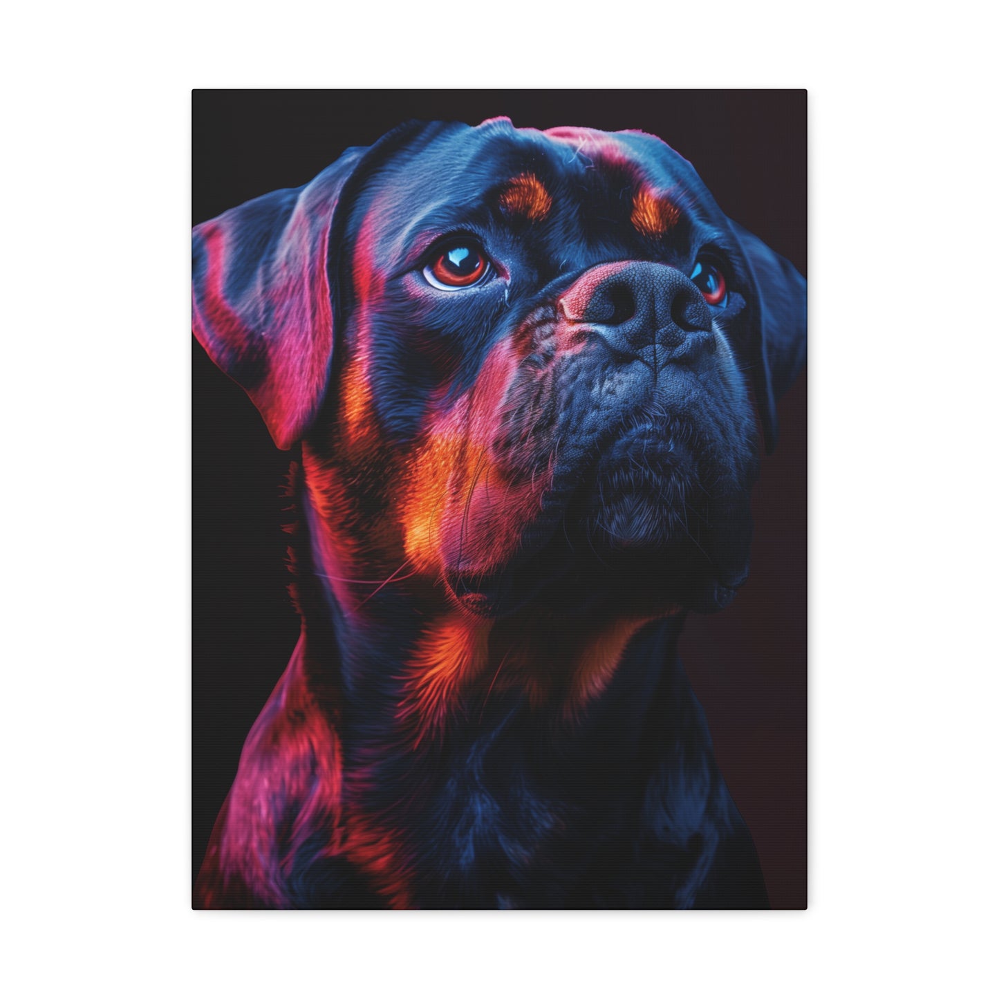 Rottweiler Dog - Abstract Illustration Canvas Gallery Wraps